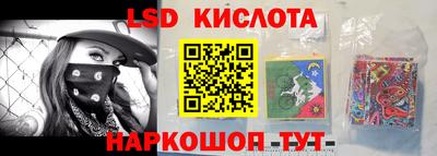 стафф Гусев