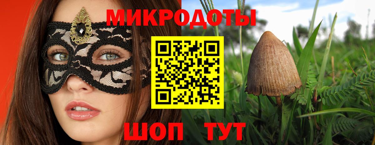 Псилоцибиновые грибы Psilocybe Новоалтайск